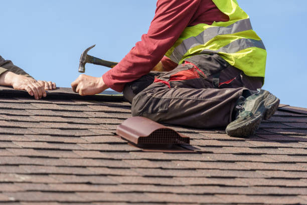 Best Roof Inspection Near Me  in Le Roy, IL